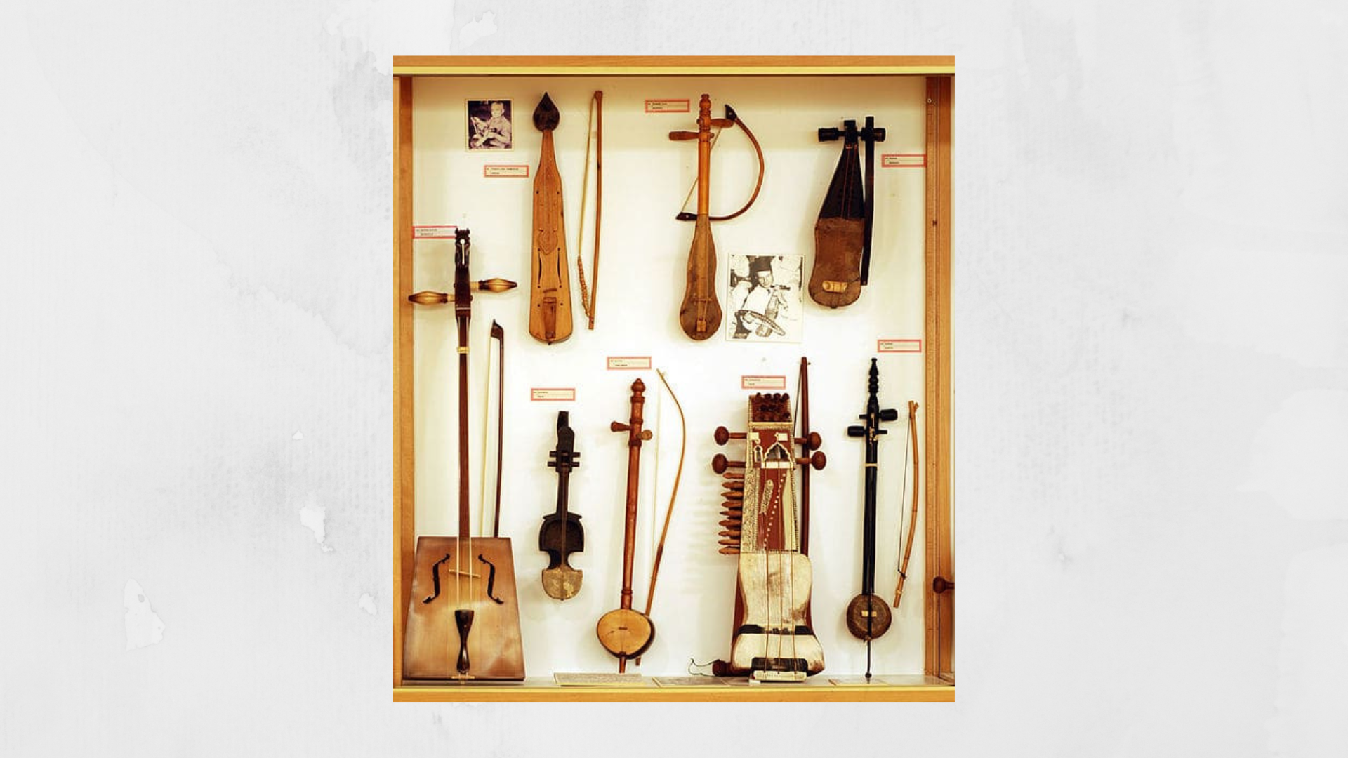 Other String Instruments