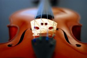 violin-bridge-shape