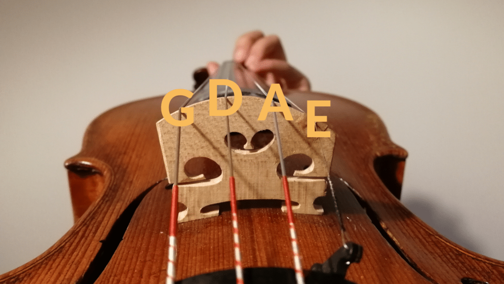 lag Tap kæmpe stor How To Tune A Violin - ViolinSchool.com
