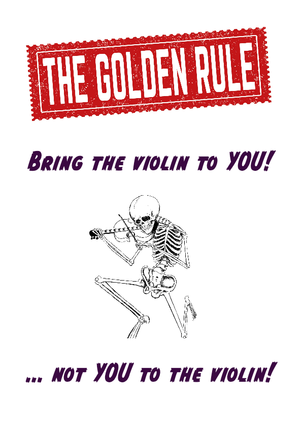 Bring The Violin To YOU!