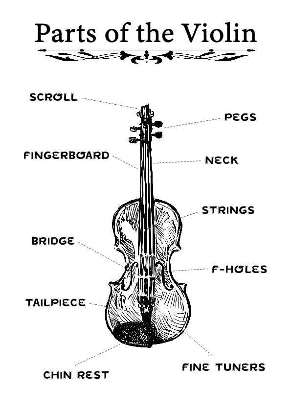 https://www.violinschool.com/wp-content/uploads/2020/01/Parts-of-the-Violin-ViolinSchool-1.0.0.pdf
